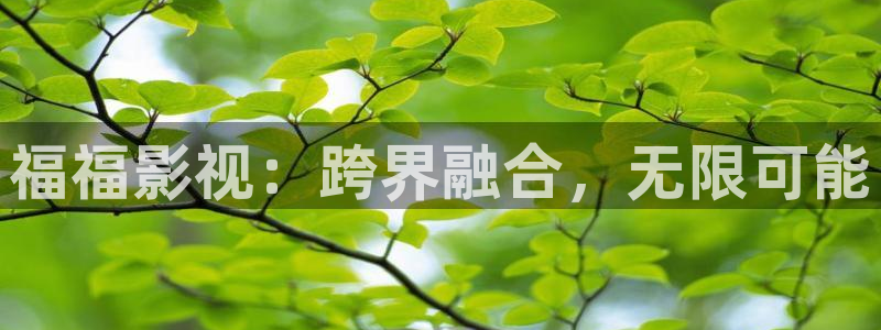 汤姆影院tom最新版下载方法
