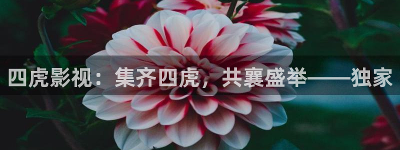 汤姆影院 在线播放